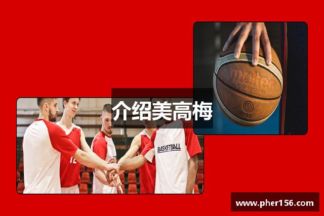 介绍美高梅